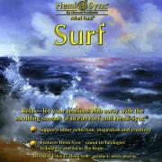 �����ա�Surf���ȤΤ��֤�